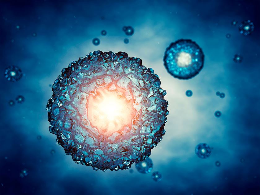 Cell
