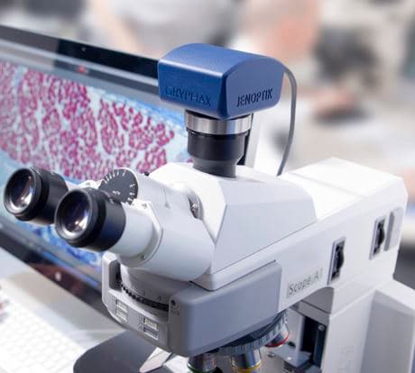 JENOPTIK GRYPHAX® Series GRYPHAX® Series