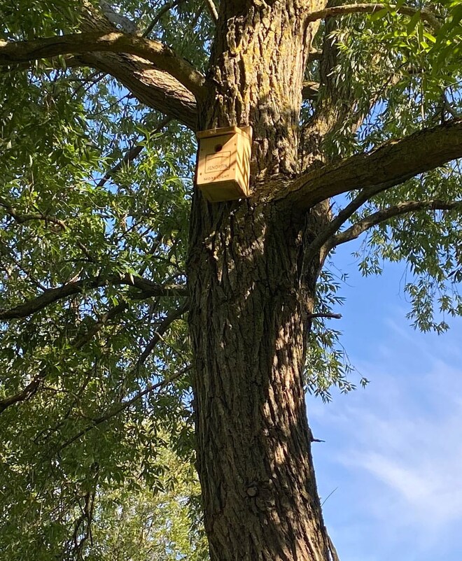 Birdhouse on tree